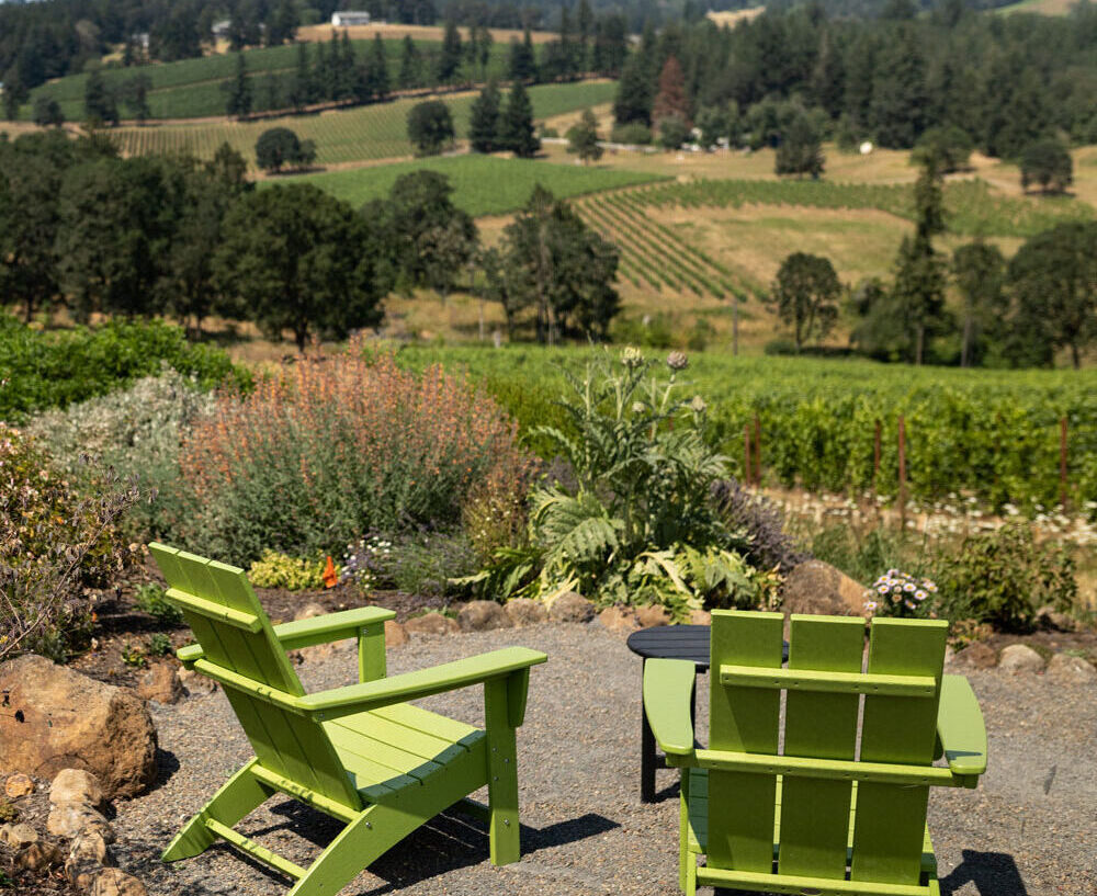 Outdoor seating overlooking vineyard.