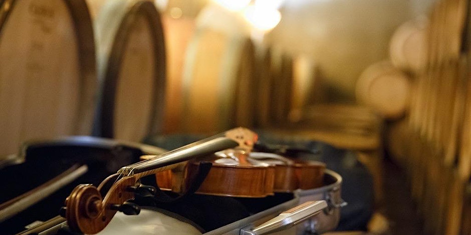 Violin on Wine Barrels